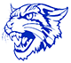 Evart Wildcats